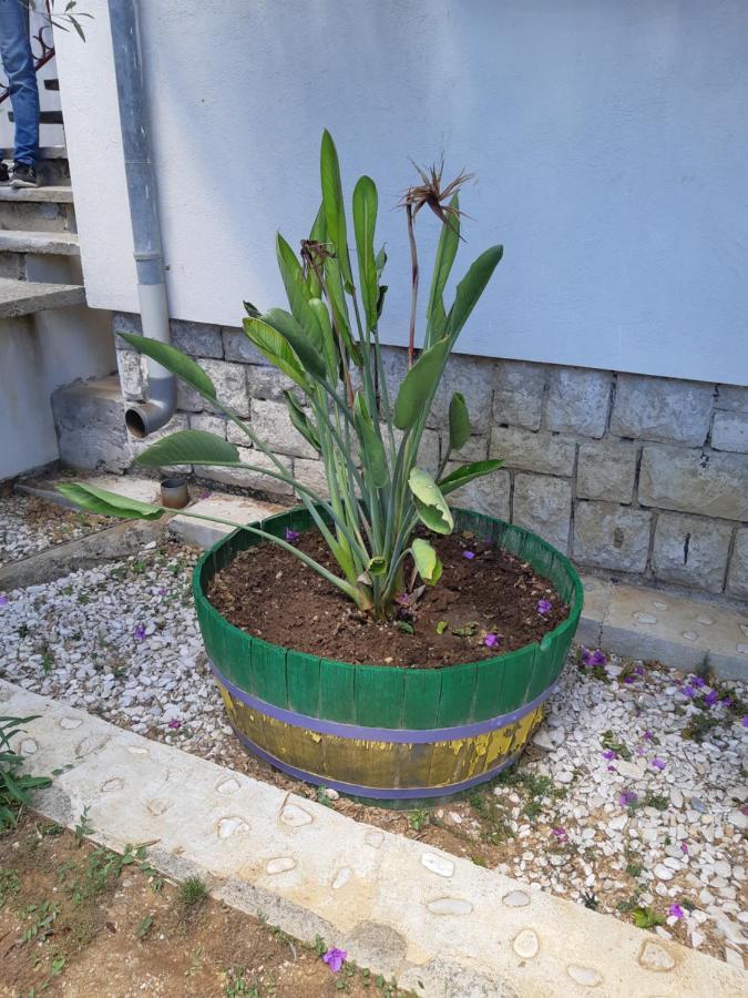 Apartman Vede Bacina Kültér fotó